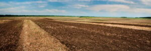 plowed land in the foreground, groves and hills in the background of rural lands